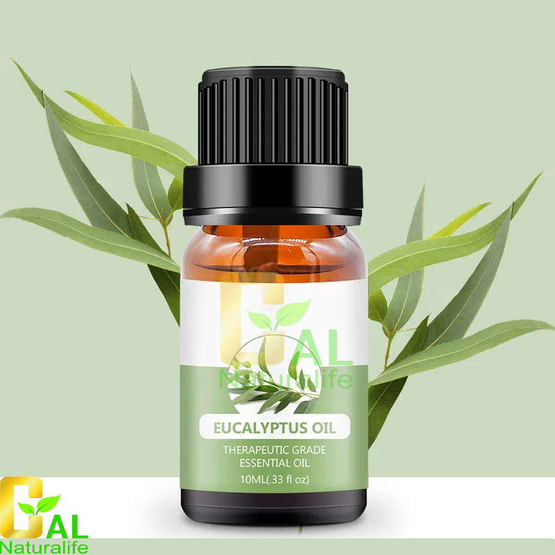Eucalyptus Oil