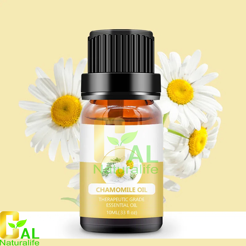 Roman Chamomile Oil