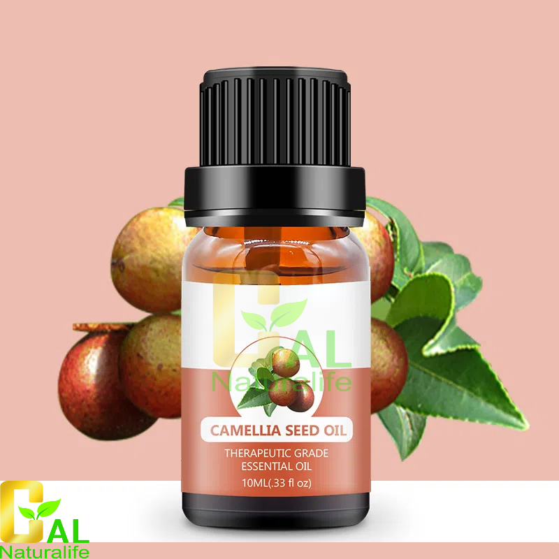 Camellia Seed Oil