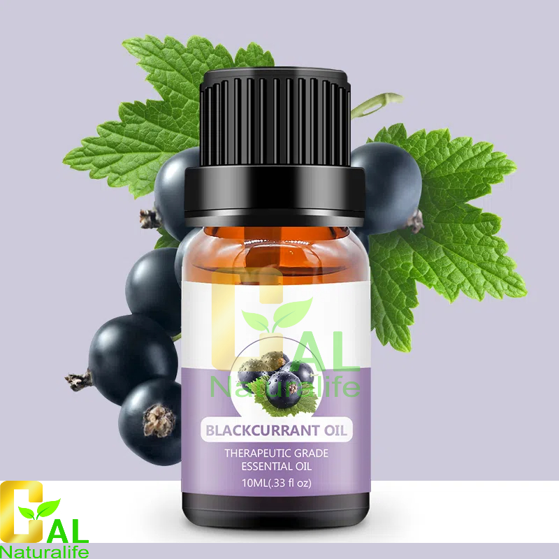 Black Currant Oil