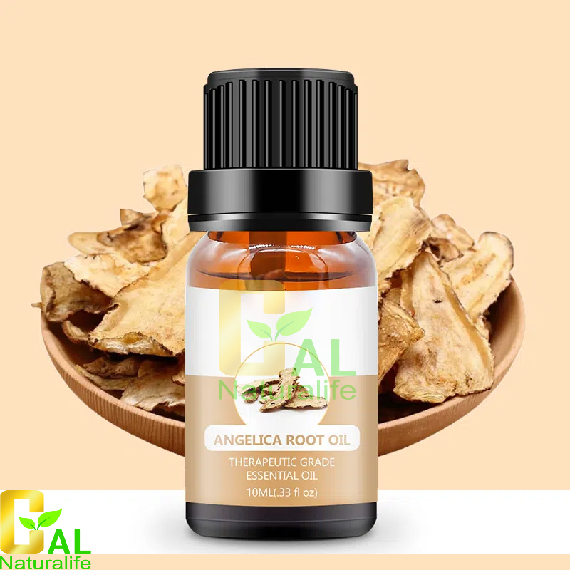Angelica Root Oil