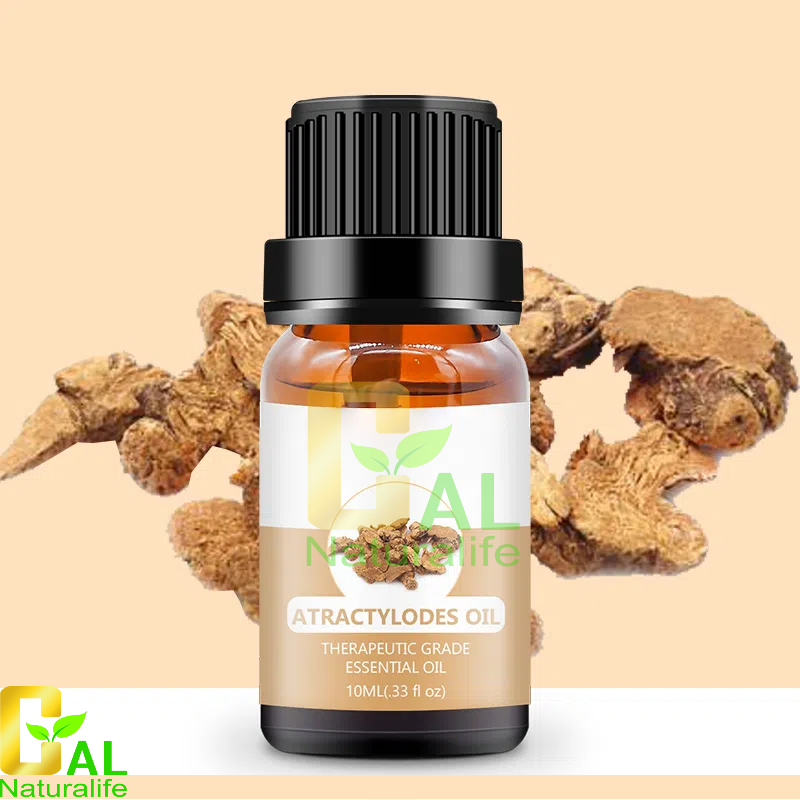 Atractylis Oil