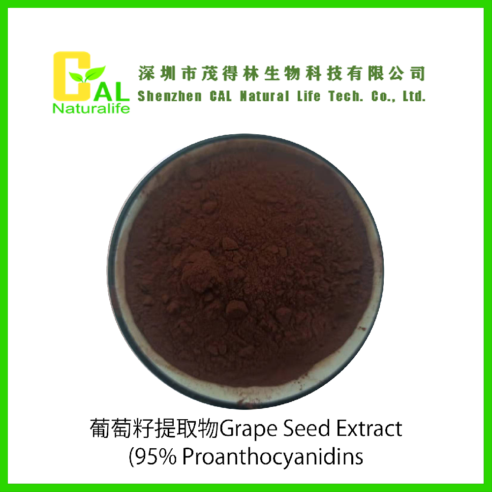 Grape Seed Extract