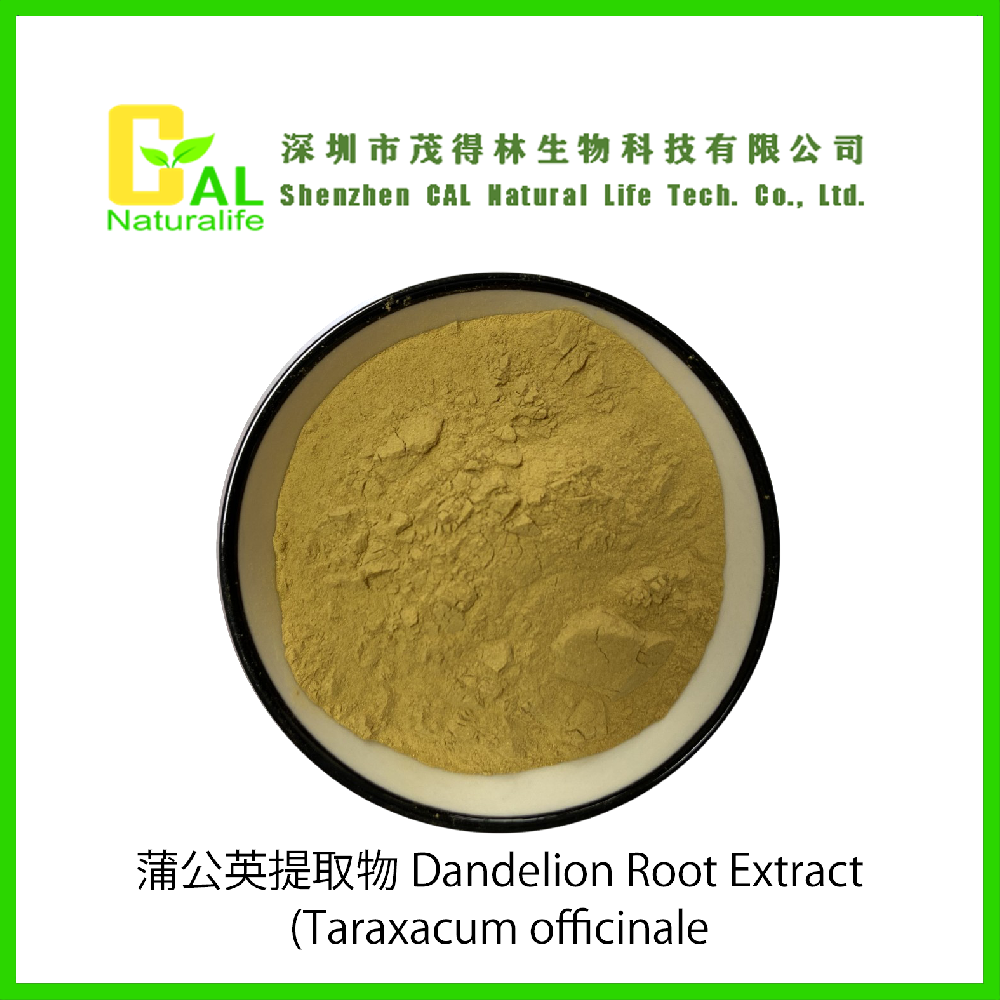 Dandelion Root Extract