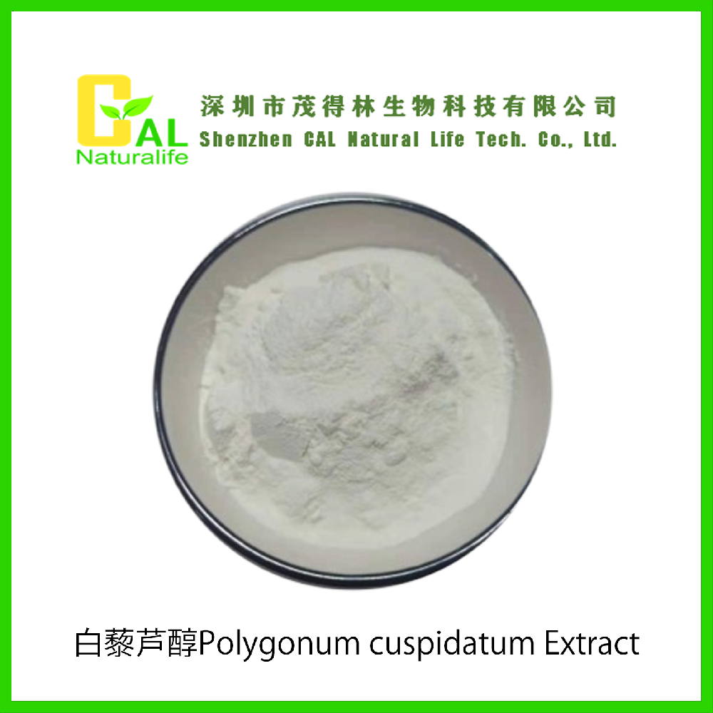 Polygonum cuspidatum Extract(Resveratrol 98%)