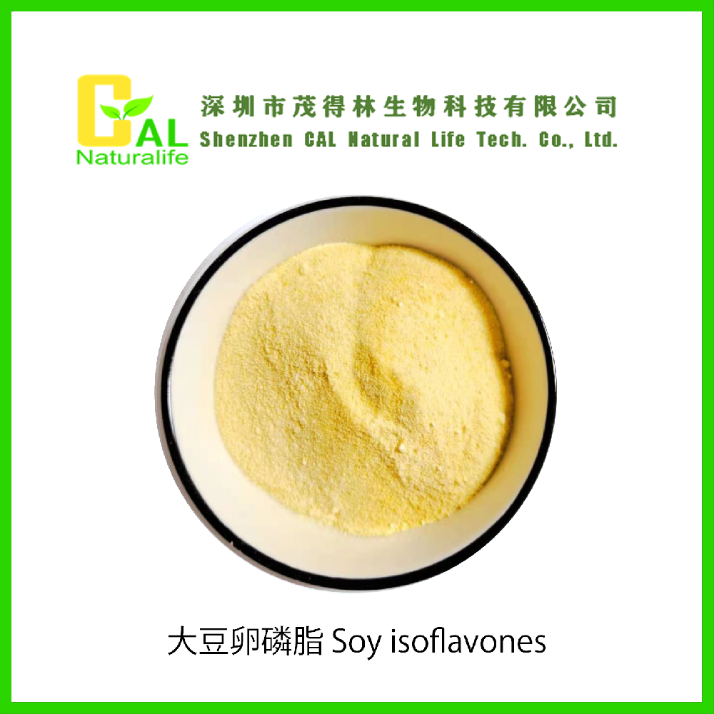 Soy Lecithin Powder