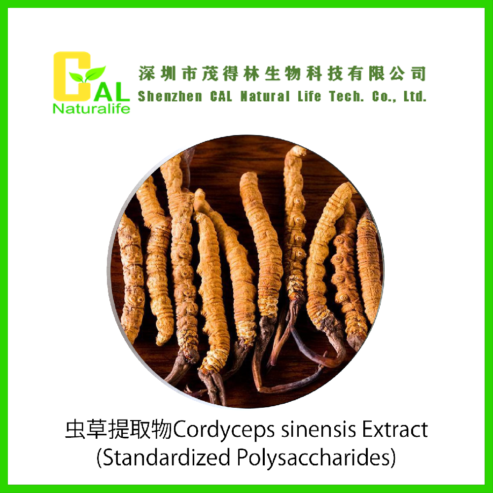 Cordyceps sinensis Extract