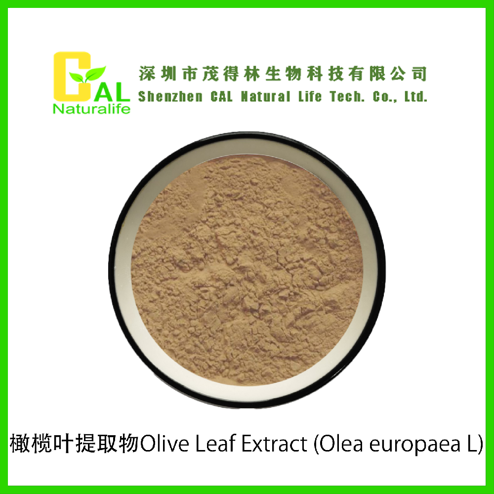 Olive Leaf Extract