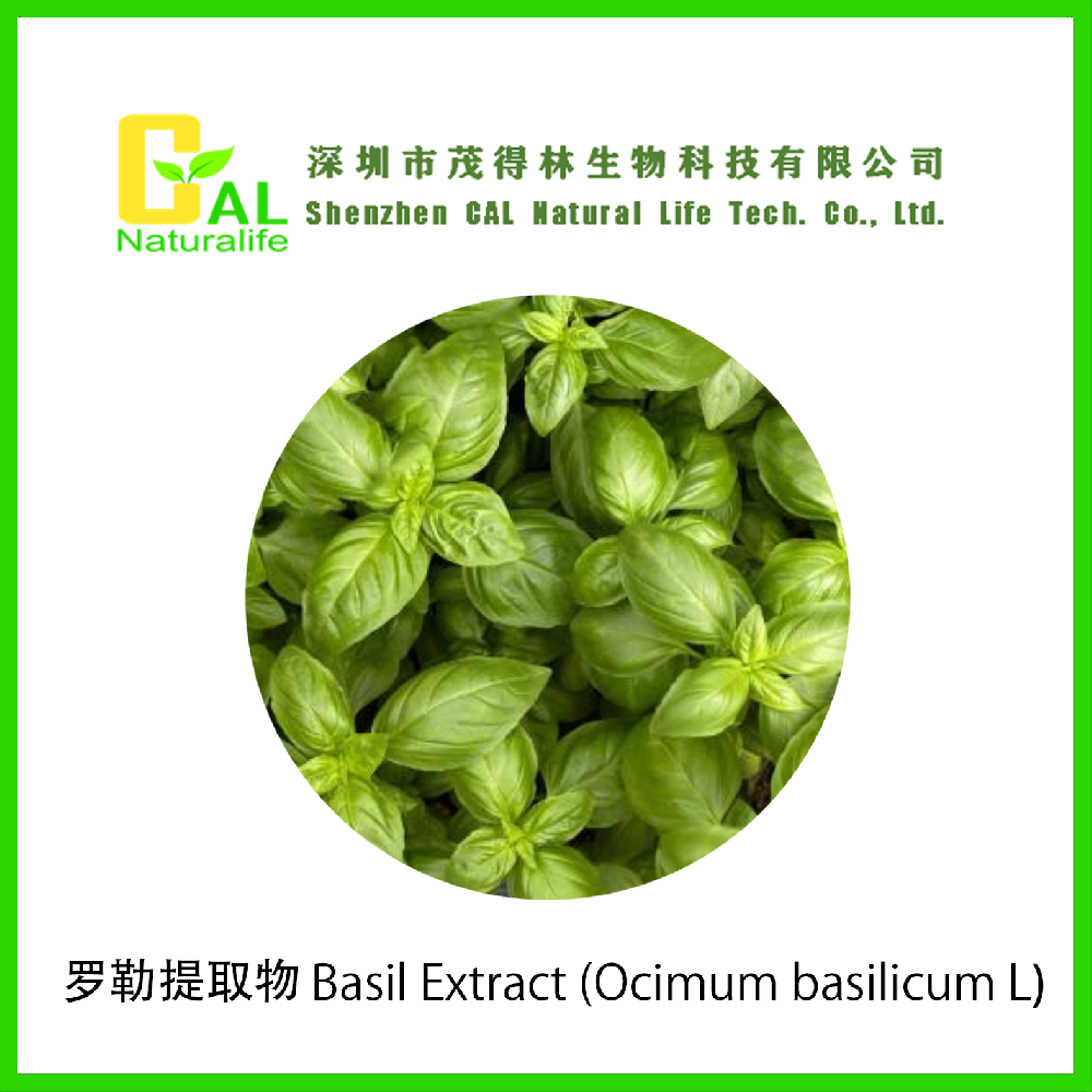 Basil Extract