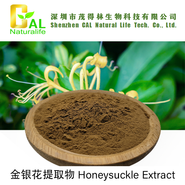 Honeysuckle Extract (金银花提取物)