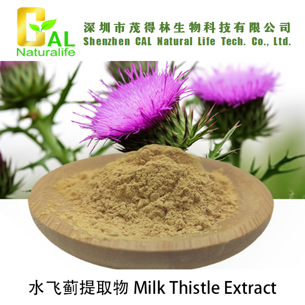 Milk Thistle Extract (水飞蓟提取物