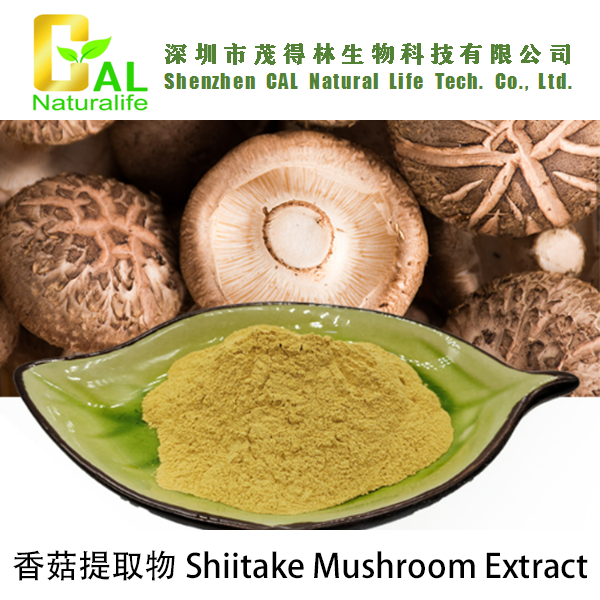Shiitake Mushroom Extract (香菇提取物)