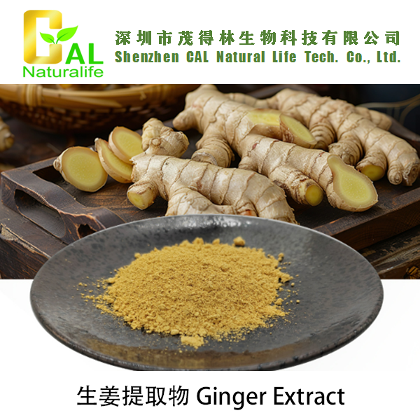 Ginger Extract 生姜提取物