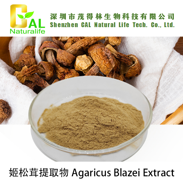 Agaricus Blazei Extract  姬松茸提取物
