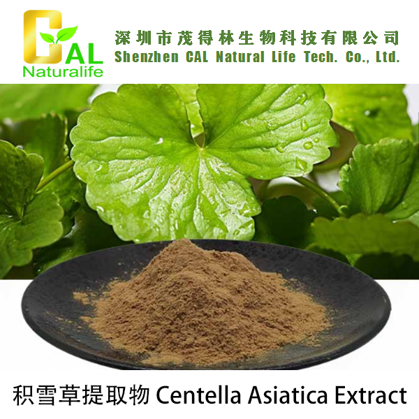 Centella Asiatica Extract (积雪草提取物)