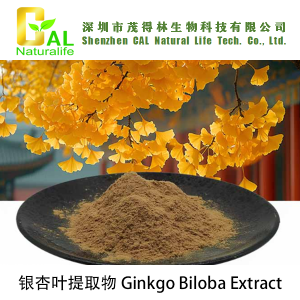 Ginkgo Biloba Extract (银杏叶提取物)