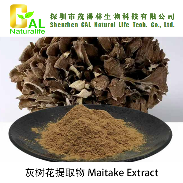 Maitake Extract (灰树花提取物)
