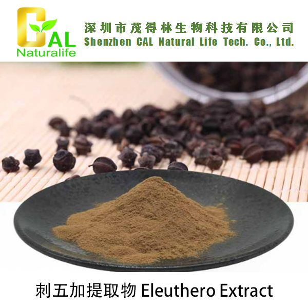 Eleuthero Extract (刺五加提取物)