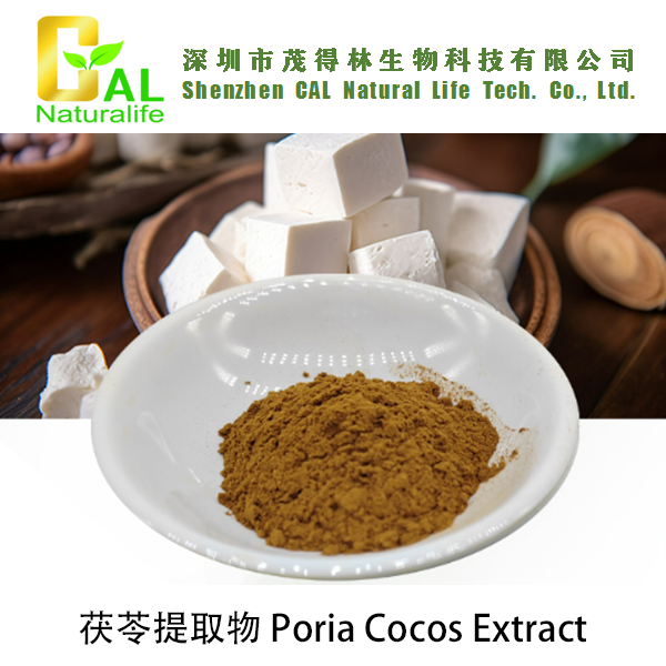 Poria Cocos Extract (茯苓提取物)