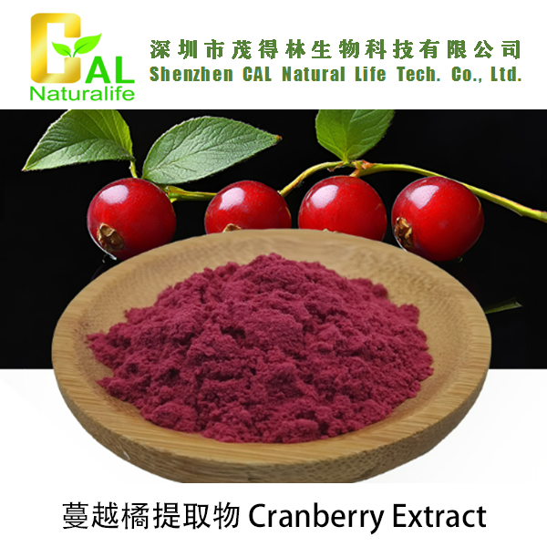 Cranberry Extract (蔓越橘提取物)