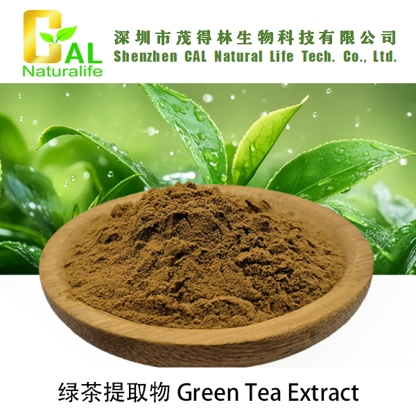 Green Tea Extract (绿茶提取物)