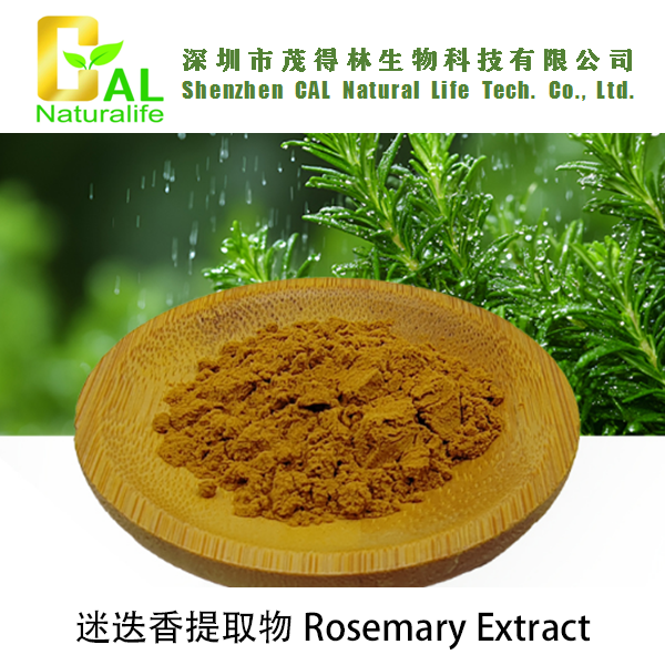 Rosemary Extract (迷迭香提取物)