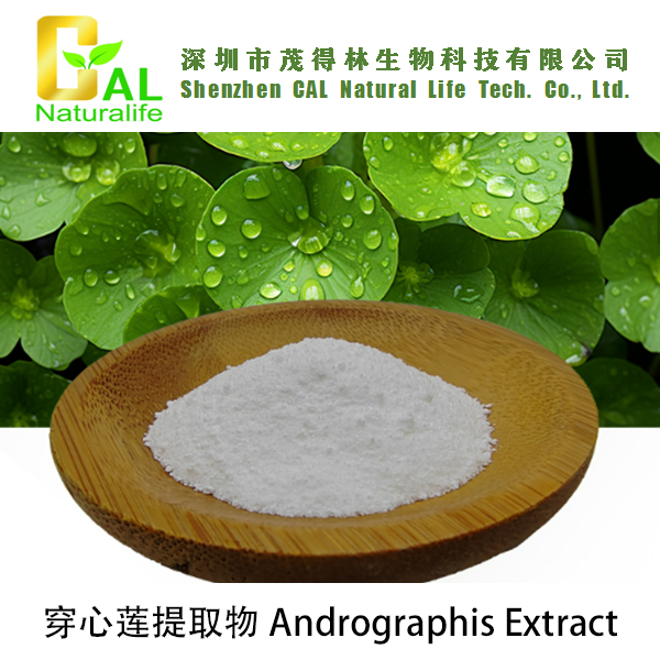 Andrographis Extract (穿心莲提取物)