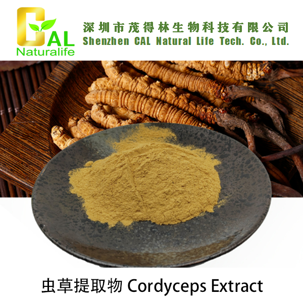 Cordyceps Extract (虫草提取物