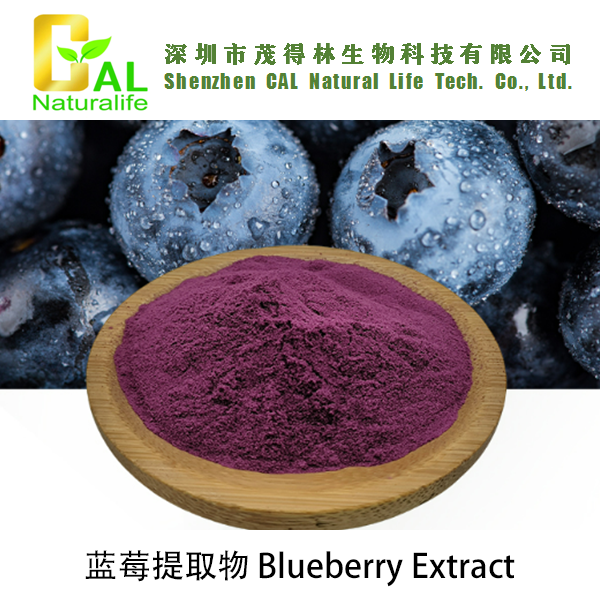 Blueberry Extract (蓝莓提取物)