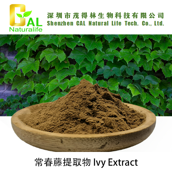 Ivy Extract (常春藤提取物)