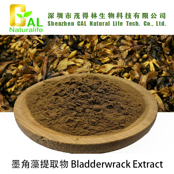 Bladderwrack Extract (墨角藻提取物
