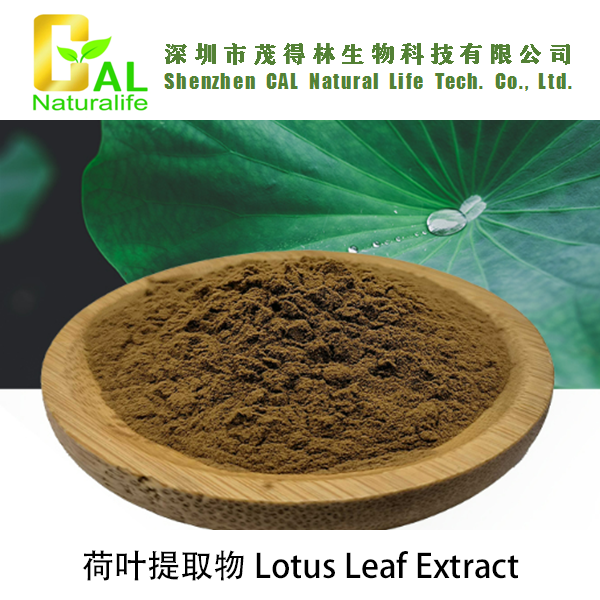 Lotus Leaf Extract (荷叶提取物)