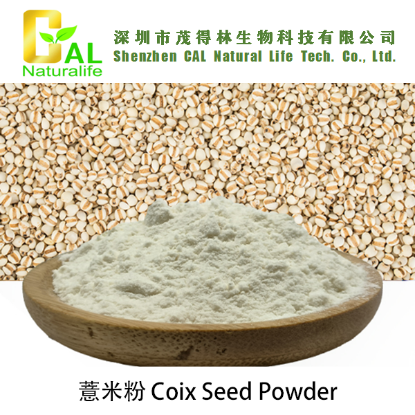 Coix Seed Powder (薏米粉)