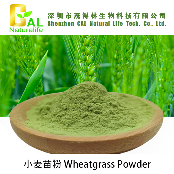 Wheatgrass Powder (小麦苗粉)