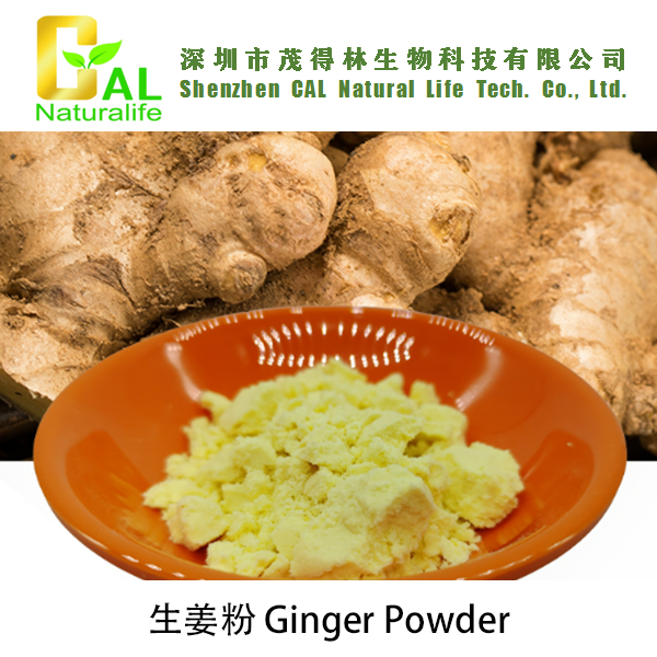Ginger Powder (生姜粉)