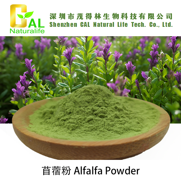 Alfalfa Powder (苜蓿粉)