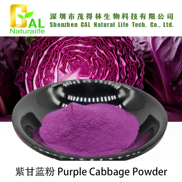 Purple Cabbage Powder (紫甘蓝粉)