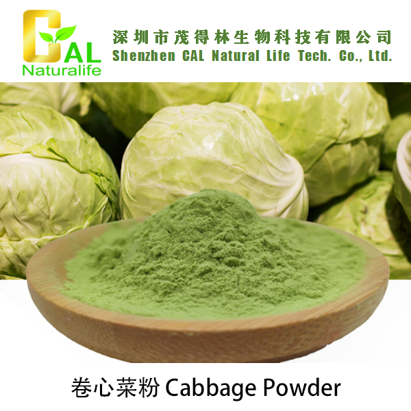 Cabbage Powder (卷心菜粉)