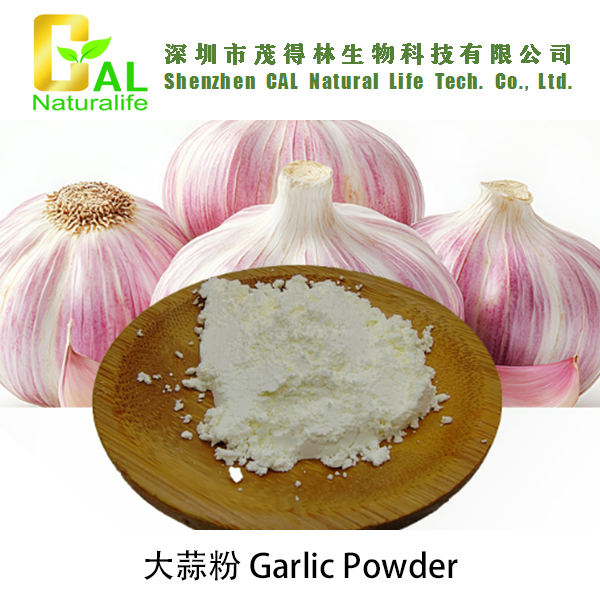 Garlic Powder (大蒜粉)