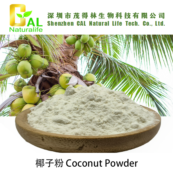 Coconut Powder (椰子粉)