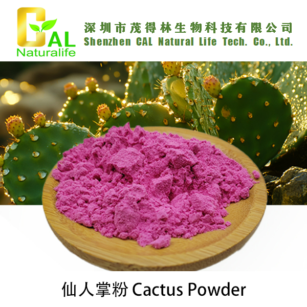 Cactus Powder (仙人掌粉)
