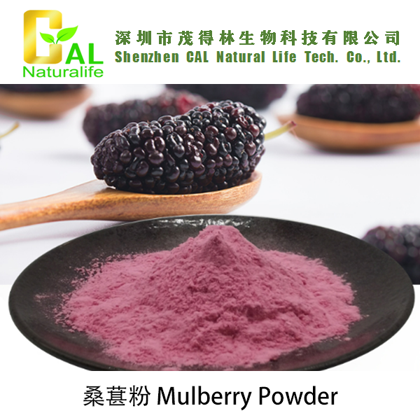 Mulberry Powder (桑葚粉)