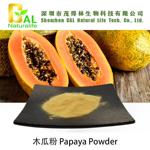 Papaya Powder (木瓜粉)