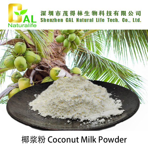 Coconut Milk Powder (椰浆粉)