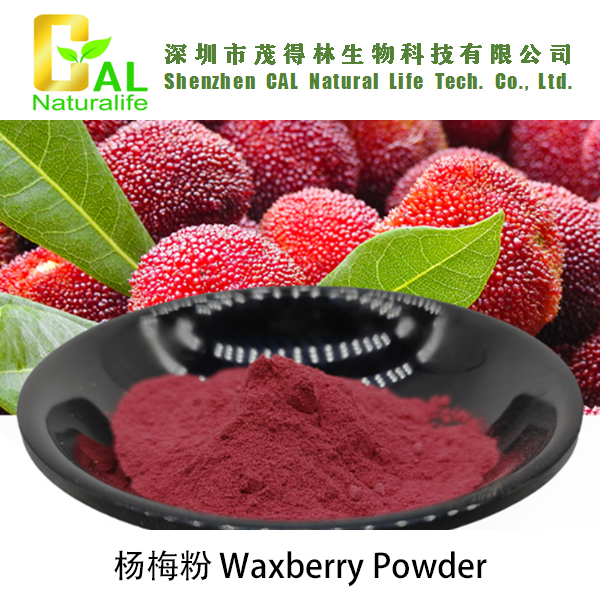 Waxberry Powder (杨梅粉)