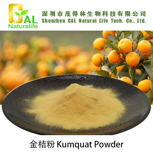 Kumquat Powder (金桔粉)