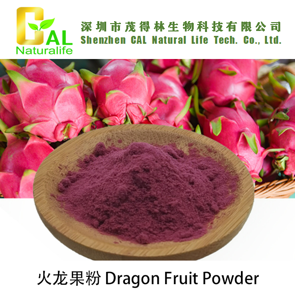 Dragon Fruit Powder (火龙果粉)