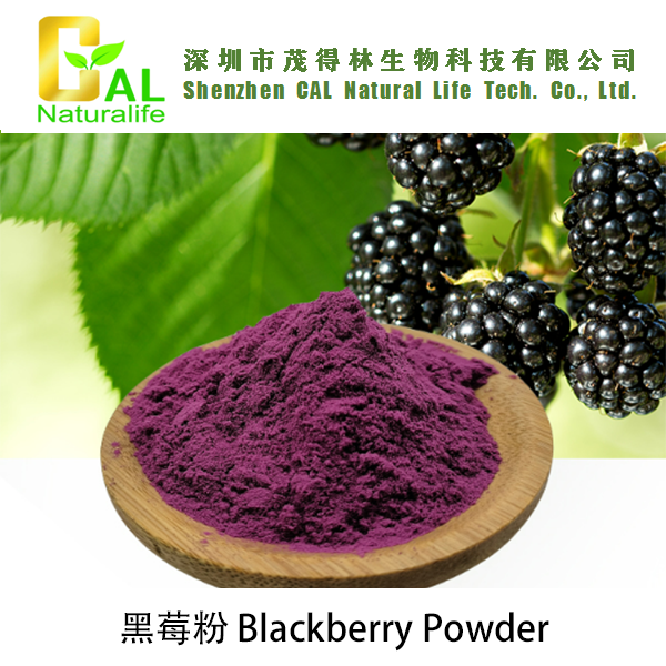 Blackberry Powder (黑莓粉)