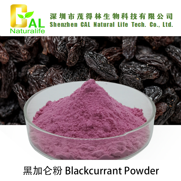Blackcurrant Powder (黑加仑粉)