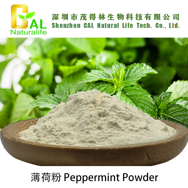 Peppermint Powder (薄荷粉)